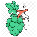 Grapes Healthy Fruit Icon