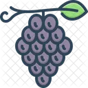 Grapes Raisin Grapevine Icon