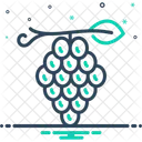 Grapes Raisin Grapevine Icon