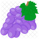 Grapes Vintage Bunch Icon