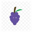 Grapes  Icon