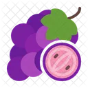 Grapes  Icon