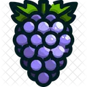Grape Icon