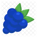 Grapes Organic Fruit Icon