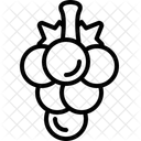 Grapes  Icon