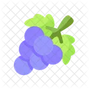 Grapes  Icon