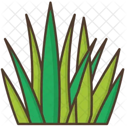 Gras  Symbol