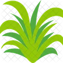 Gras Icon