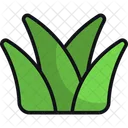 Gras Pflanze Natur Symbol