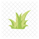 Gras Natur Grun Symbol