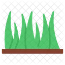 Gras Grunland Grun Icon