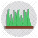 Gras Grunland Grun Icon