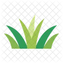 Gras Natur Grun Icon