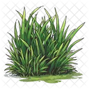 Gras Natur Grun Symbol