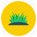 Gras Aloe Vera Wiese Symbol