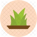 Gras  Icon