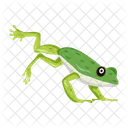 Frosch Krote Ochsenfrosch Icon