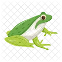 Frosch Krote Ochsenfrosch Icon