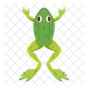 Frosch Krote Ochsenfrosch Icon