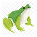 Frosch Krote Ochsenfrosch Icon