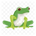 Frosch Krote Ochsenfrosch Icon