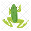 Frosch Krote Ochsenfrosch Icon