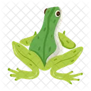 Frosch Krote Ochsenfrosch Icon