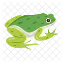 Frosch Krote Ochsenfrosch Icon