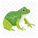 Frosch Krote Ochsenfrosch Icon