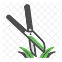 Grass Scissors Cut Icon