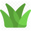 Grass Plant Nature Icon