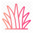 Grass  Icon