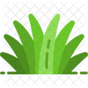 Grass Nature Leaf Icon