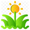 Grass Spring Flower Icon