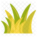 Grass Nature Leafe Icon