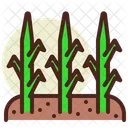 Grass Plant Farming Icon