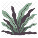 Grass Plant Leaf Icon