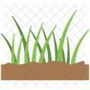Green Grass Soil Icon