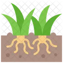 Grass Green Growth Icon