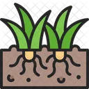 Grass Green Growth Icon