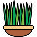 Grass Persian Day Icon