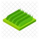 Grass Unmoved Isometric Icon