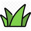 Grass Nature Outdoor Icon