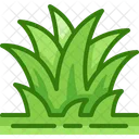Grass Lawn Gardening Icon