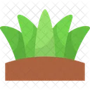 Grass Nature Plant Icon