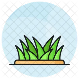 Grass  Icon