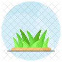 Grass Spring Green Icon
