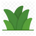 Nature Green Summer Icon