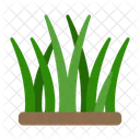 Grass Lawn Lawncare Icon
