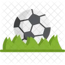 Grass Ball Soccer Icon